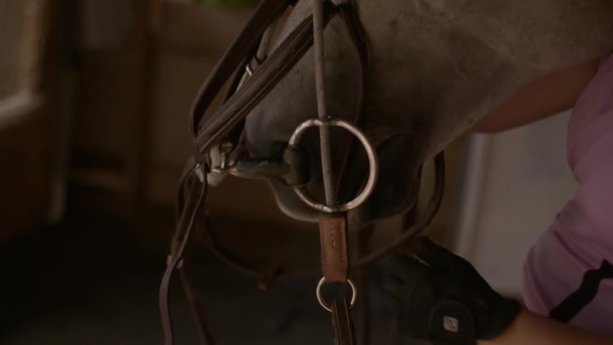 Someone is saddling up a horse