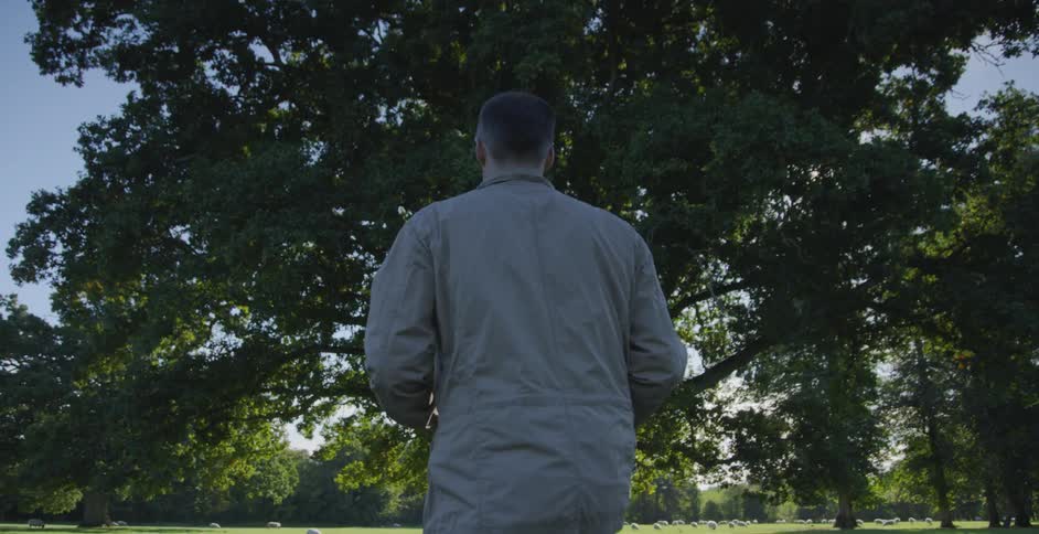 Man walks in a field near sheep