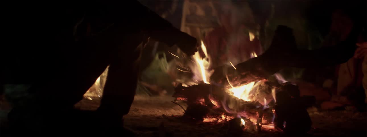 Several people stand around a campfire at night