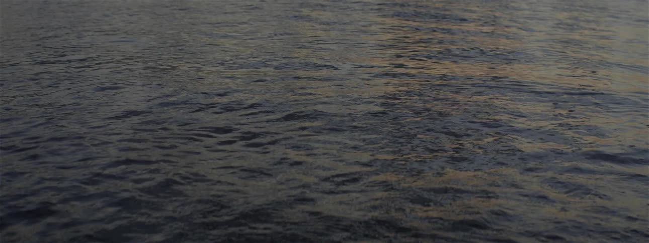 Waves come to shore at sunset