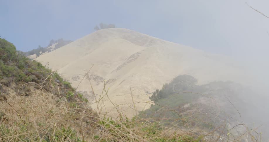 Grass and brush on a slope blow in the wind