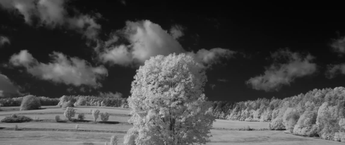 Clouds float above a rural meadow