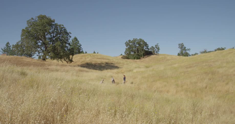A man standing in a field on a sunny day is struggling with a rope and a blanket