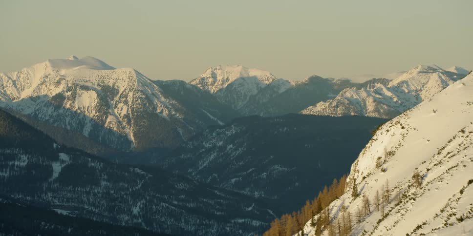 Trees sit on the side of a snowy mountain under a blue sky