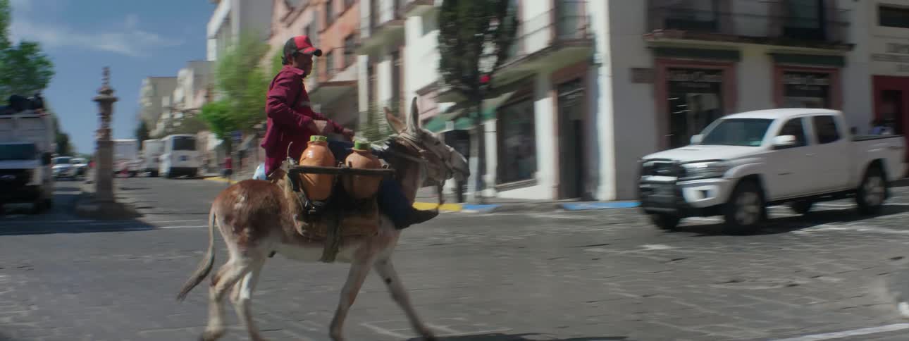 A person rides a donkey down the city street