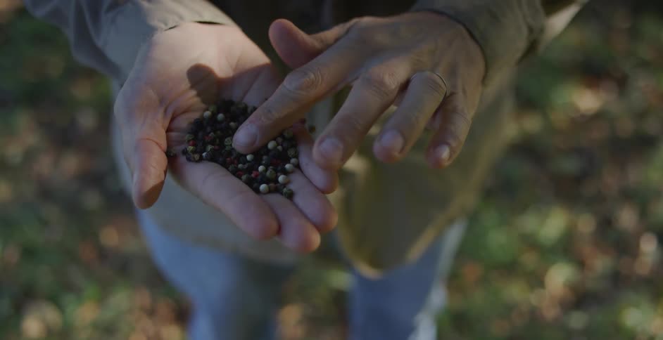 A person moves the seeds in their hand