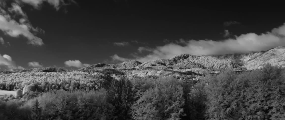 Trees and shrubs cover the mountainous landscape