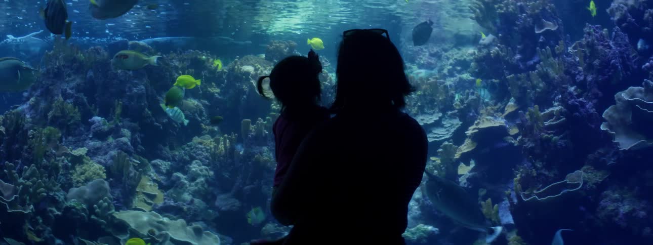 Woman holds child in her arms while they look at fish in a large aquarium