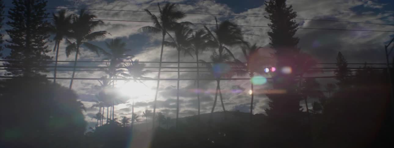 A car drives by trees at sunset