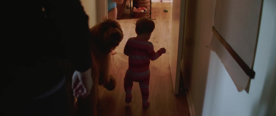 Toddler walks down a hallway followed by a dog and adult