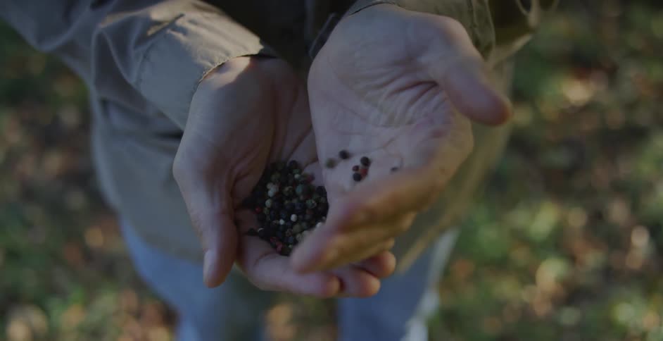 A man holds kernels in his hands