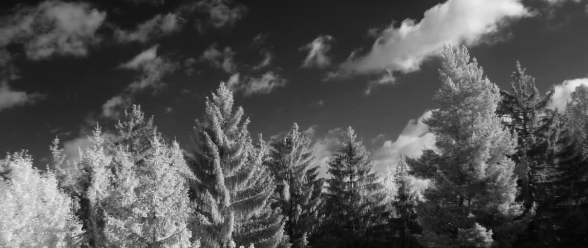 Tree covered hilly plains with clouds overhead