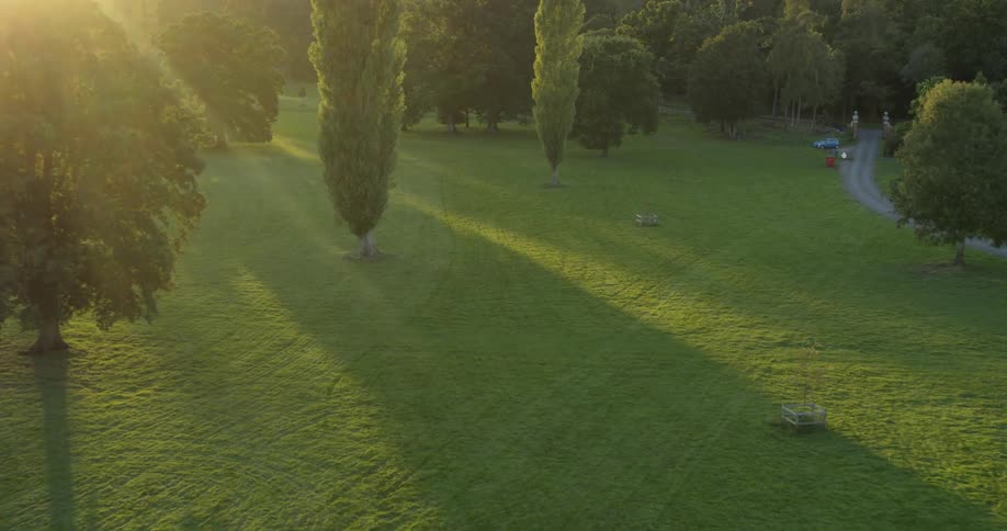 The sun shines on the grassy field