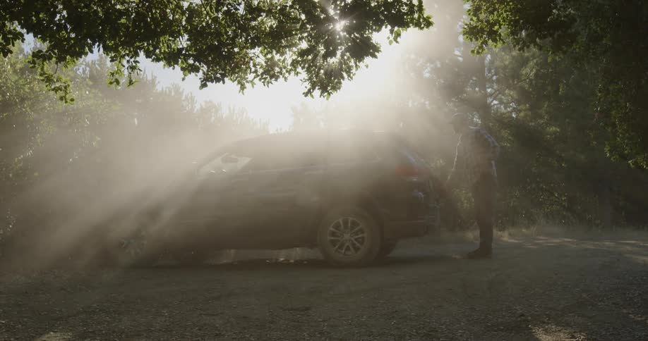 Car stirs up dust as it drives in the forest on a sunny day