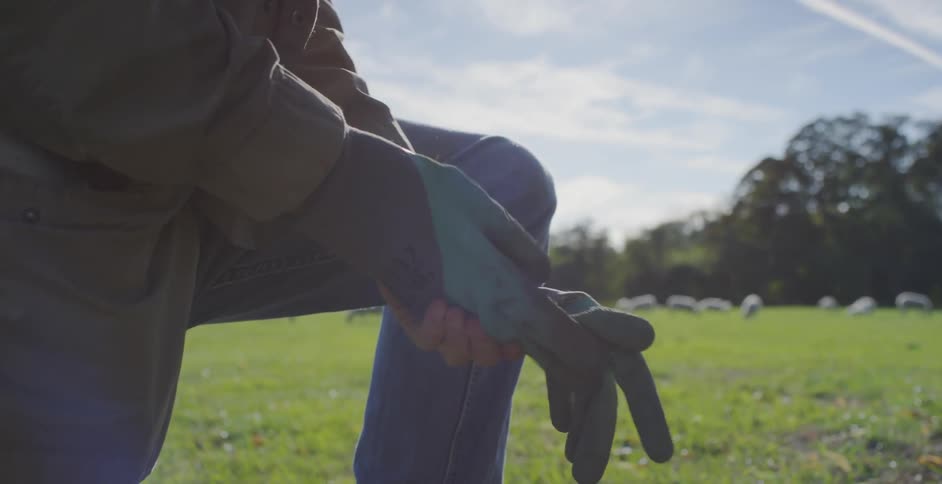 A farmer kneels in a meadow near sheep