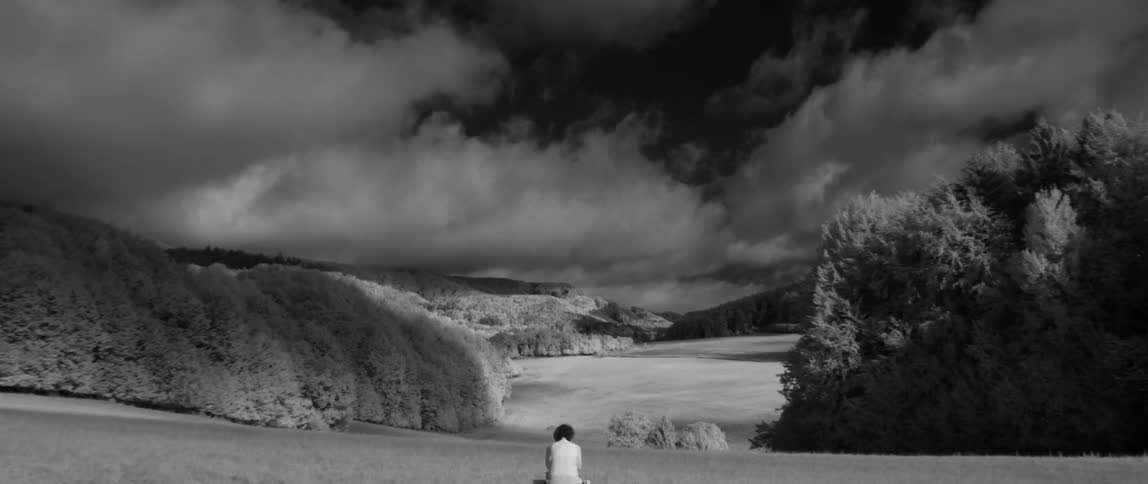 Woman sits on a bench in a field