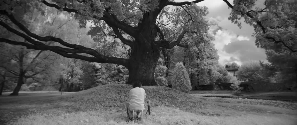 A woman sit under a tree