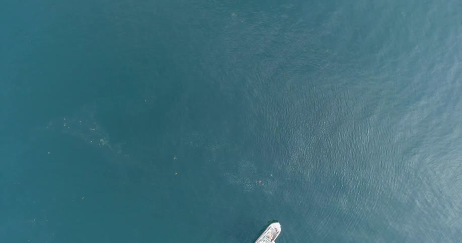 The boat moves around in the water below