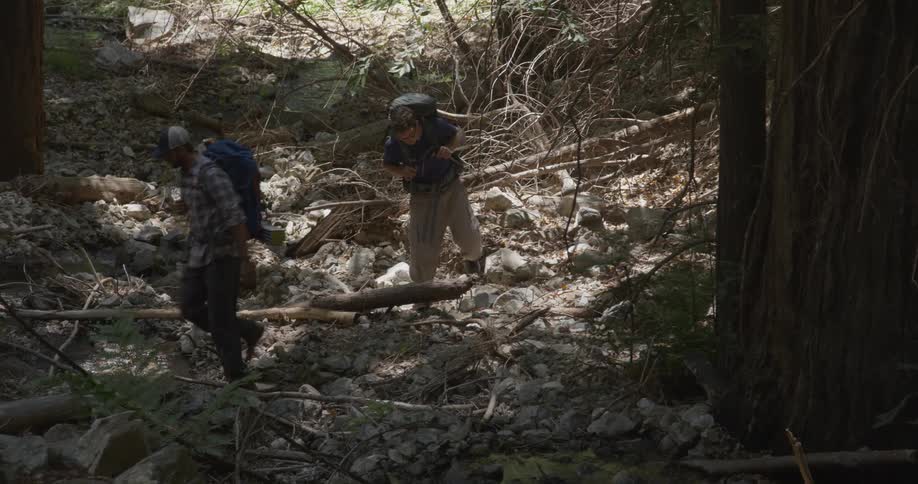 Two men wearing backpacks walk around logs and over a stream