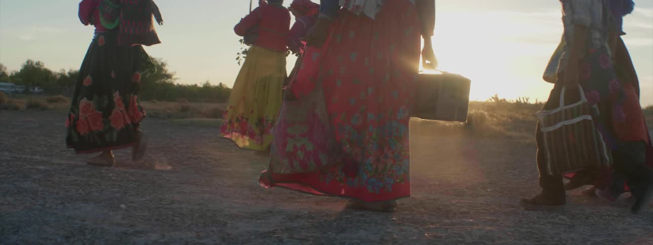 People are traveling over the field at sunset