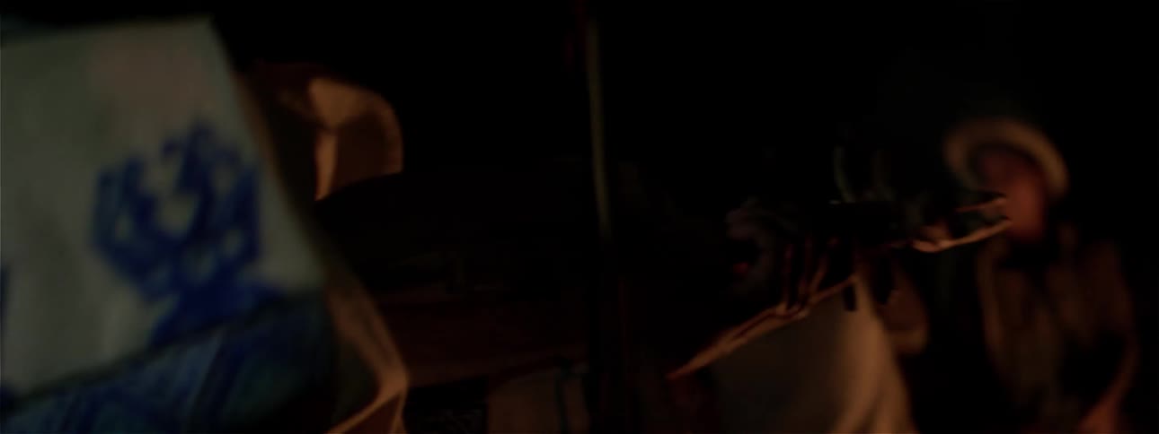 Person plays a violin illuminated by campfire light