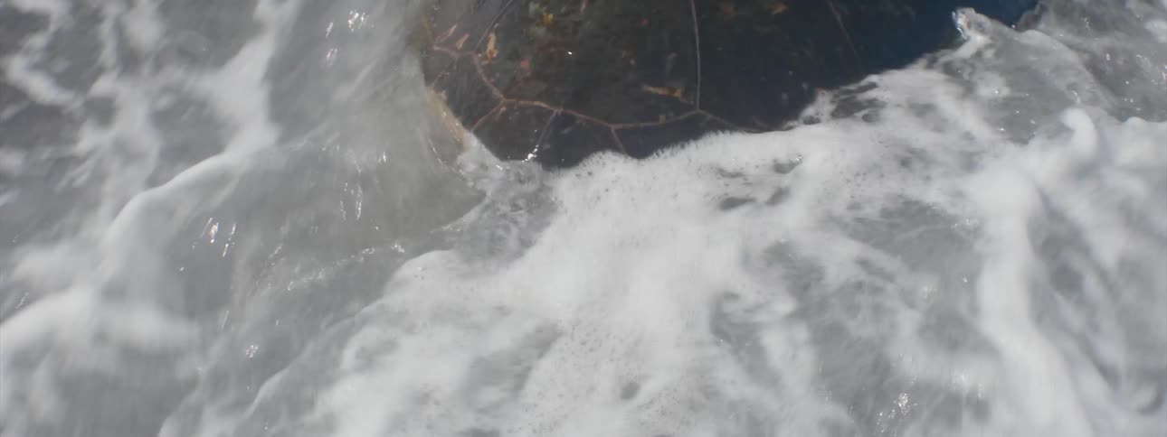 An ocean wave crashes over a turtle