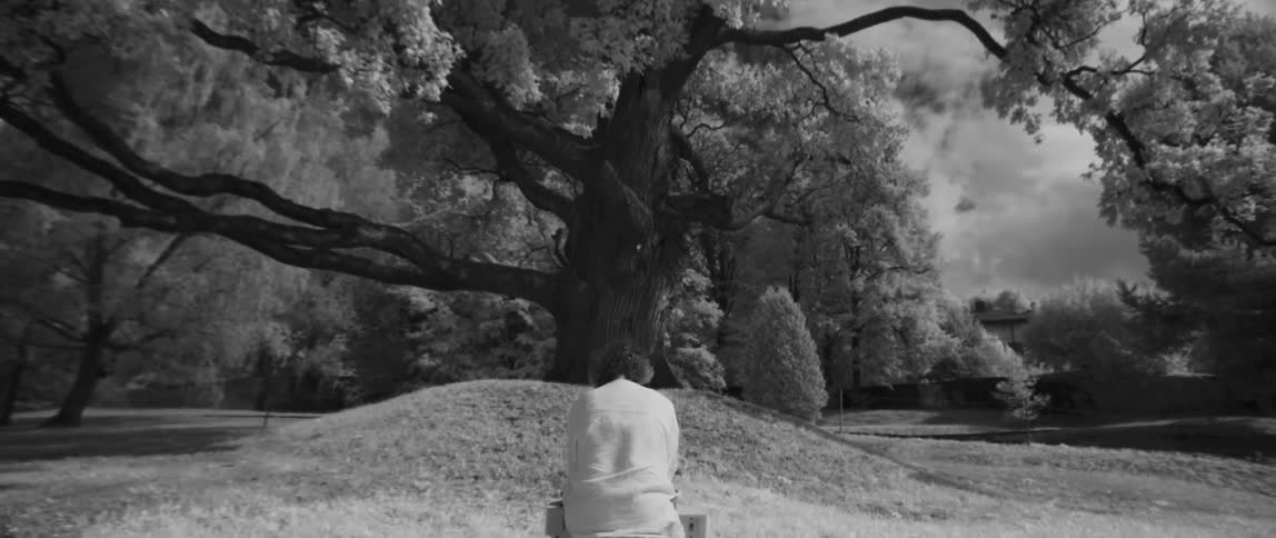 A woman sits under a tree