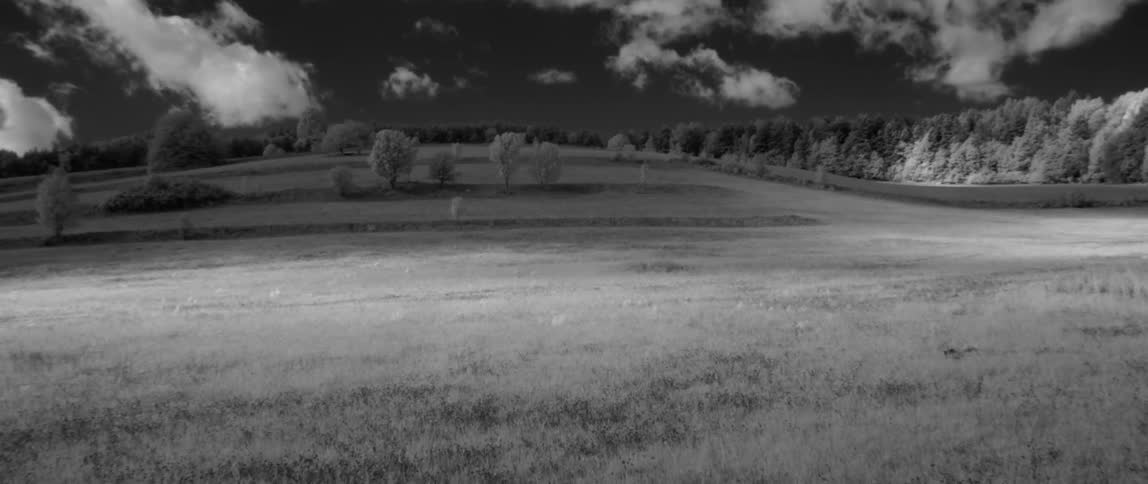 Clouds float above trees and a meadow