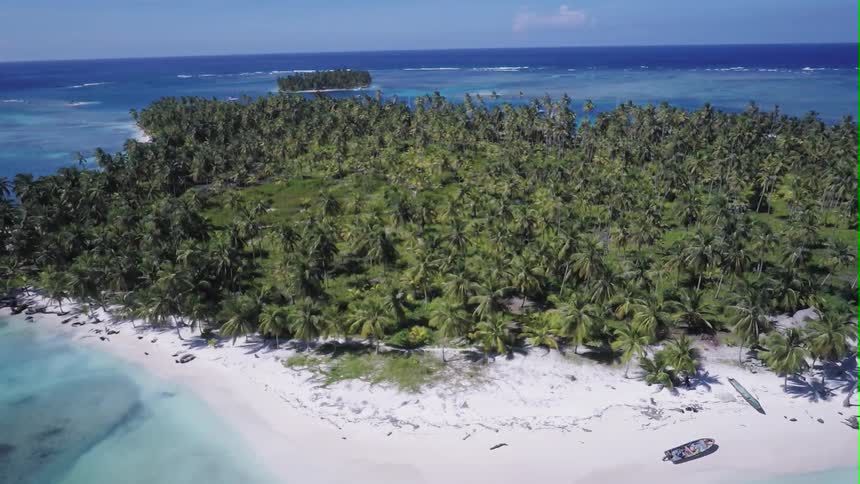 Aerial view of a tropical island covered with trees