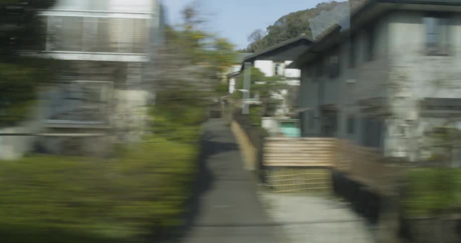 Houses line a town street