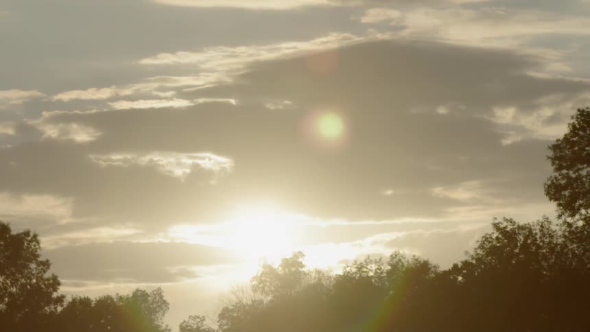 The sun shines down on tree tops and branches