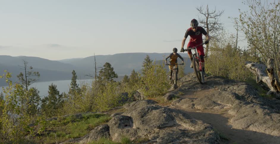 Bicyclists ride in a forest at sunset