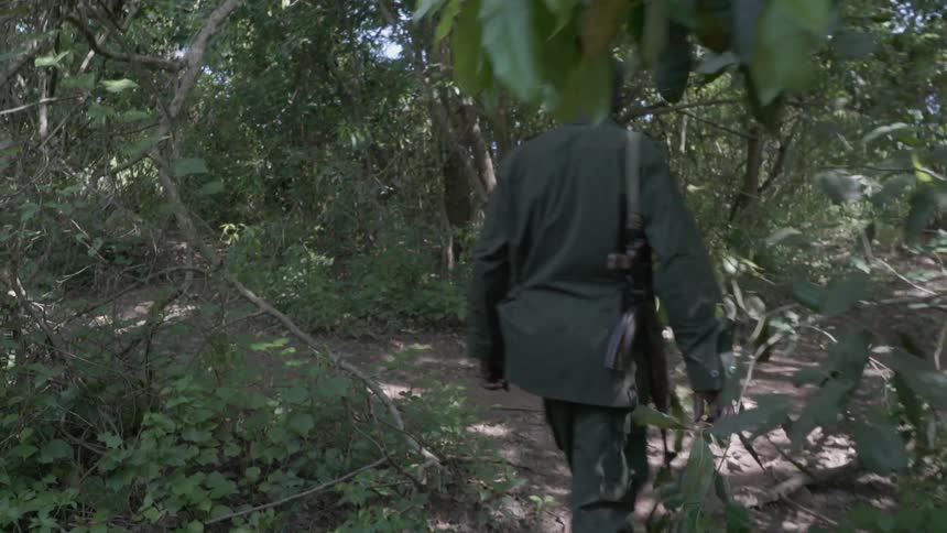 Soldier carrying a gun walks through the woods on a sunny day