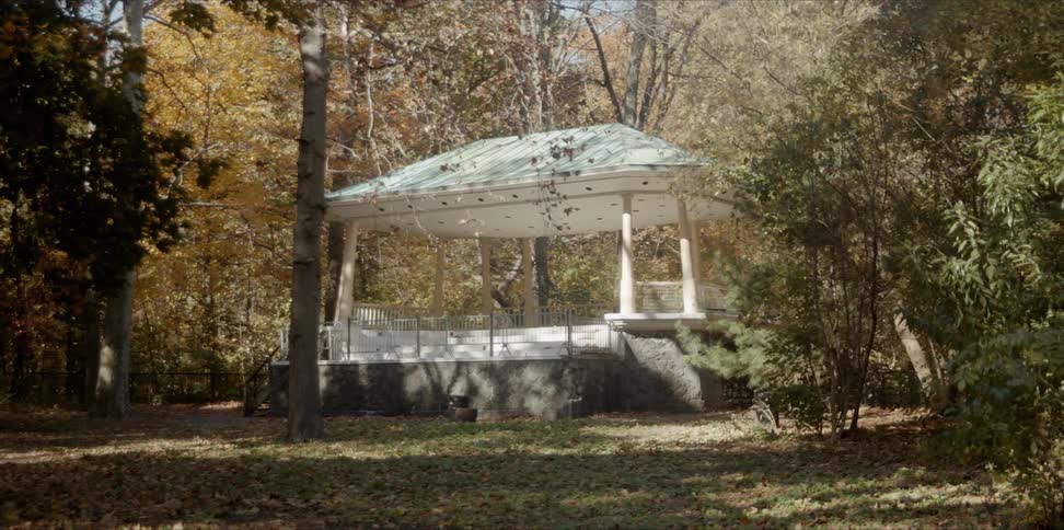 A gazebo is surrounded by trees
