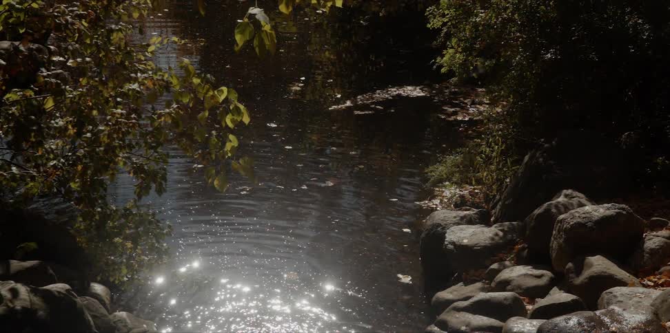 Sunlight shines on ripples in a stream