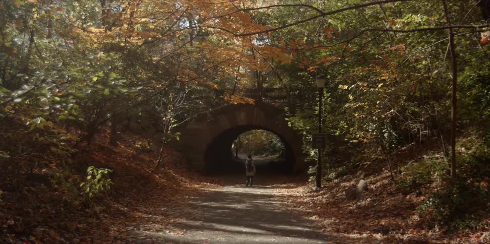 A woman is walking towards a tunnel beneath a bridge in a park in daylight