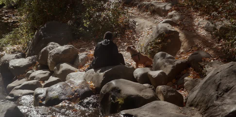 A man sits on the rocks by a stream with his dog