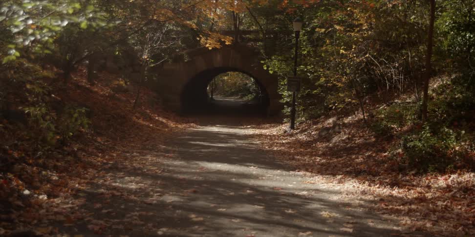 A pathway is leading beneath a tunnel in a park in daylight