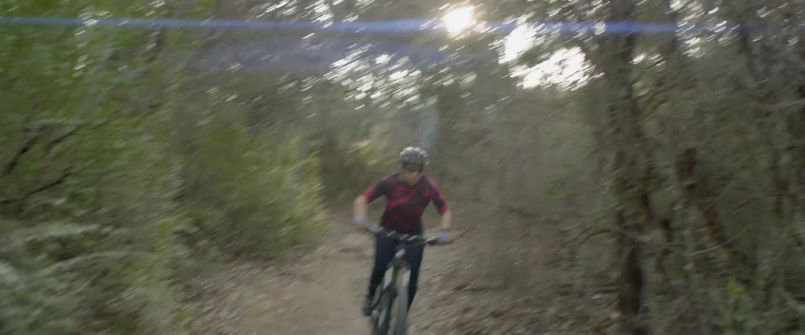 A bicyclist rides through a forest at sunset