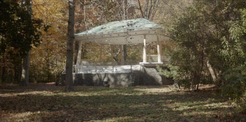 A gazebo is surrounded by trees