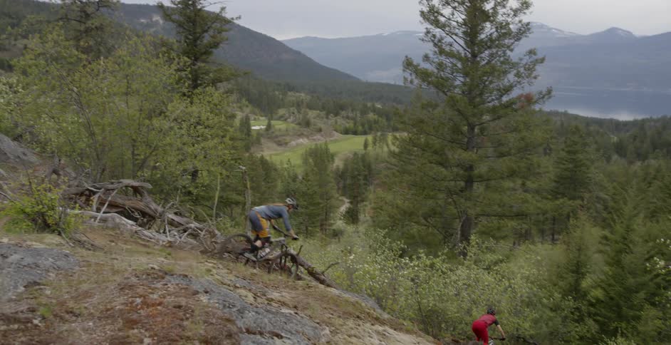 Two people ride bicycles down a hill near a forest