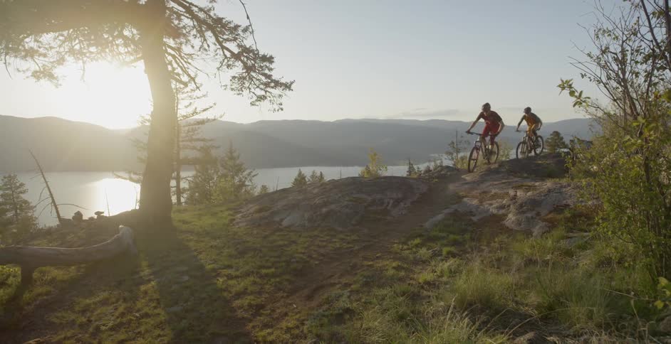 Bicyclists ride in a lakeside forest at sunset