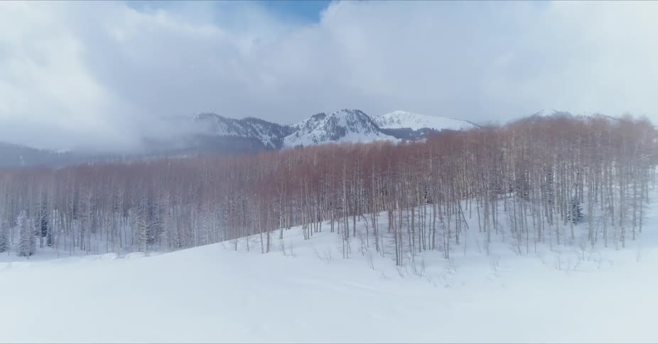 Someone is walking through a snow covered pasture