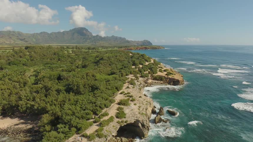 Blue and green ocean waters meet lush green coast on sunny day