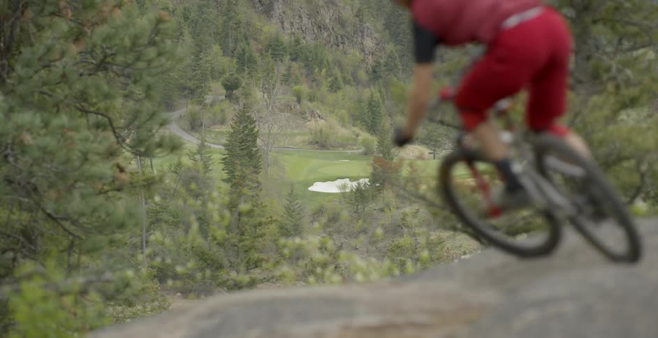 Bicyclists travel over a trail near the forest