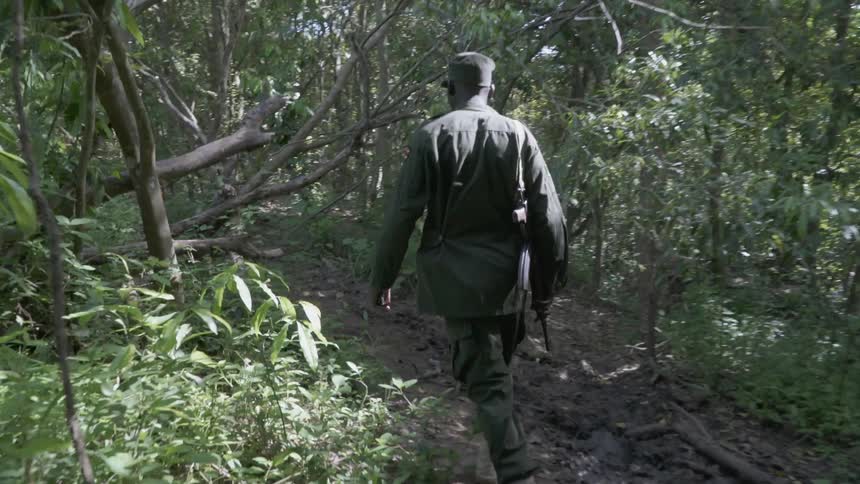 An armed soldier walks in a forest