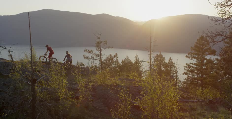 Bicyclists ride in a forest at sunset