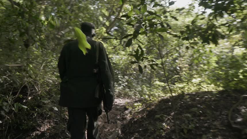 A man in uniform and carrying a rifle walks through the woods