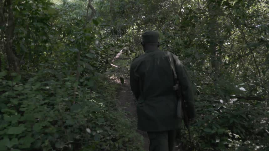 Someone is hiking through the woods with a gun