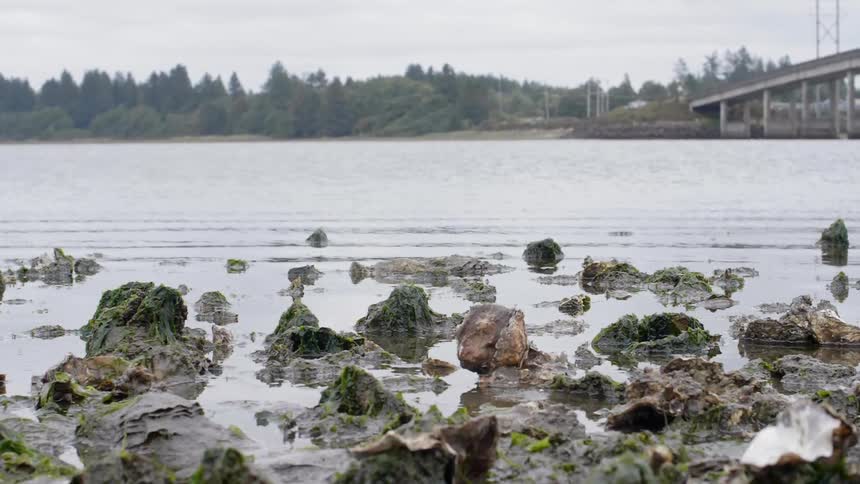 Rock sticking out of a calm flowing body of water